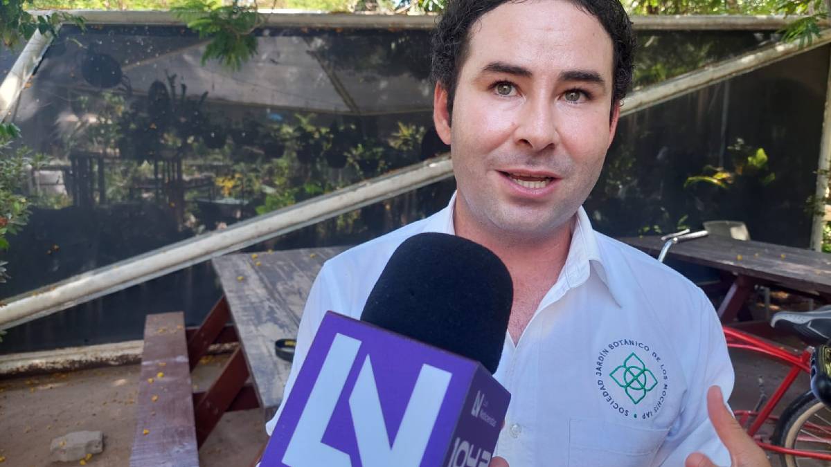 Patronato del Parque Sinaloa, sin notificación para hacerse cargo del cuidado el Cerro de la Memoria