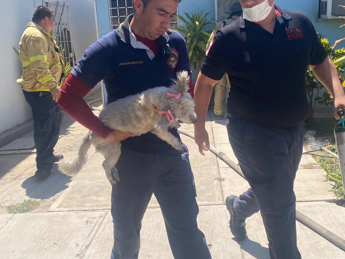 Veladoras provocan incendio en un domicilio de Los Mochis, cuerpos de auxilio rescatan a una perrita