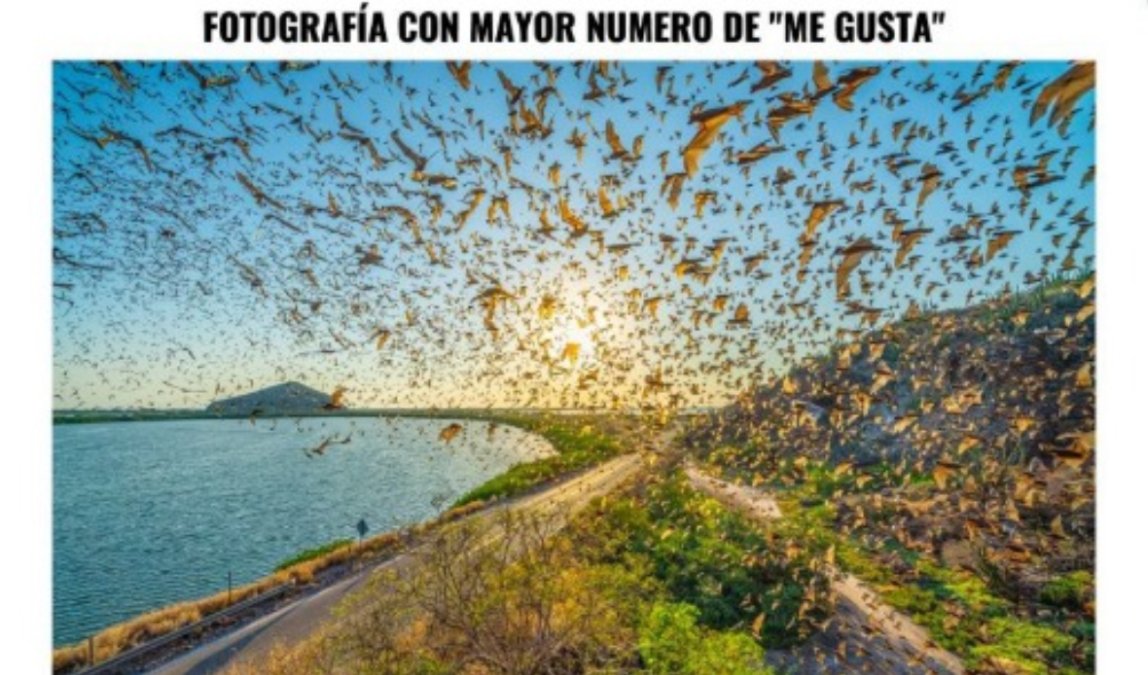 Presentan el libro ‘Eden Dusk’ al interior del jardín botánico en Los Mochis