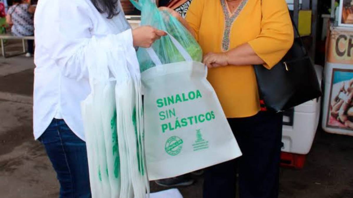 Quiere revivir la ley antiplástico en Mazatlán para eliminar al 100 por ciento el uso de ese material