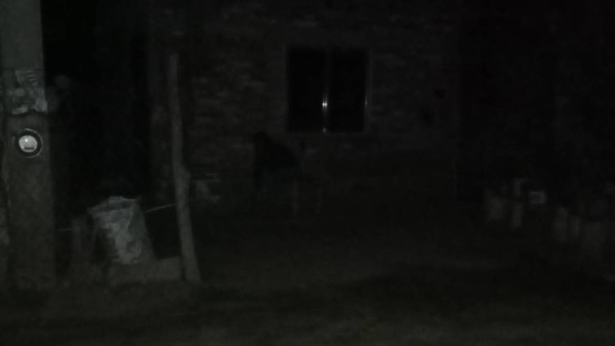 Piden ayuda: Sector Casa Blanca en Guasave tienen más de 24 horas sin luz