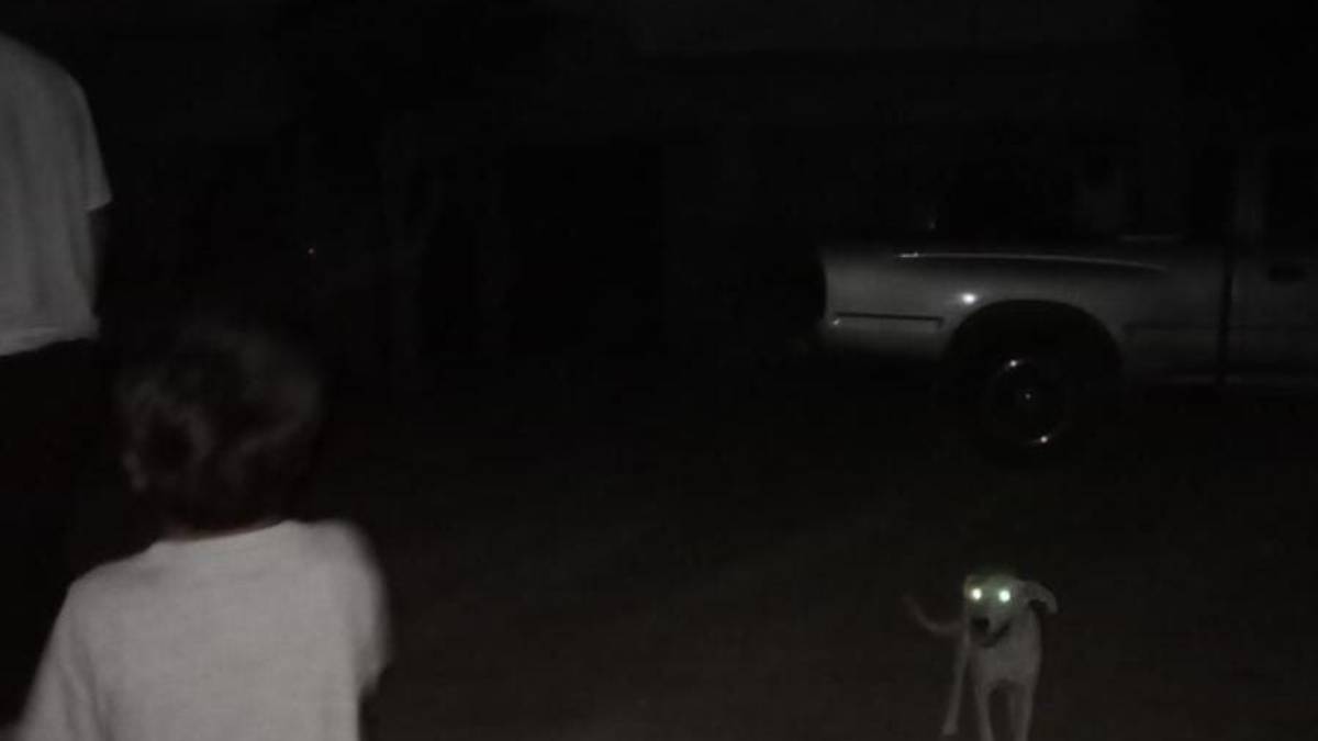 ¡Quieren tenerlos dos semanas sin luz! Vecinos de Leyva, Guasave, amenazan con manifestarse en CFE