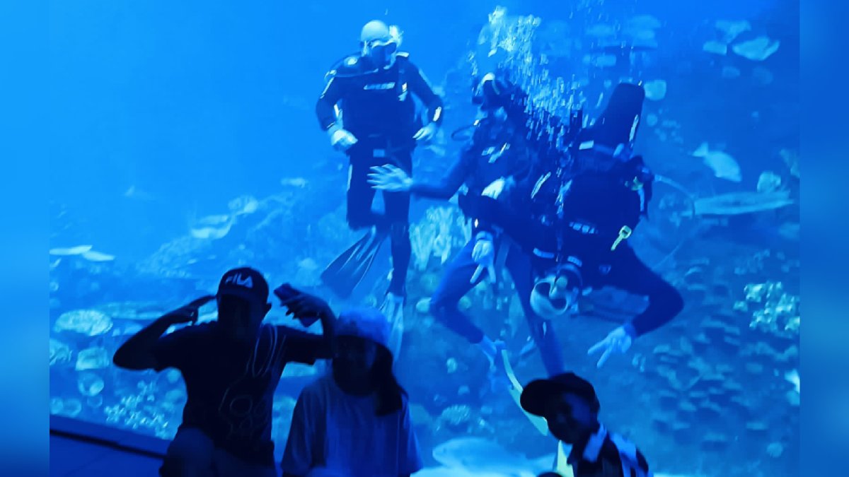 Visitantes de Alaska y Guatemala experimentan el snorkel y buceo en el Gran Acuario Mazatlán