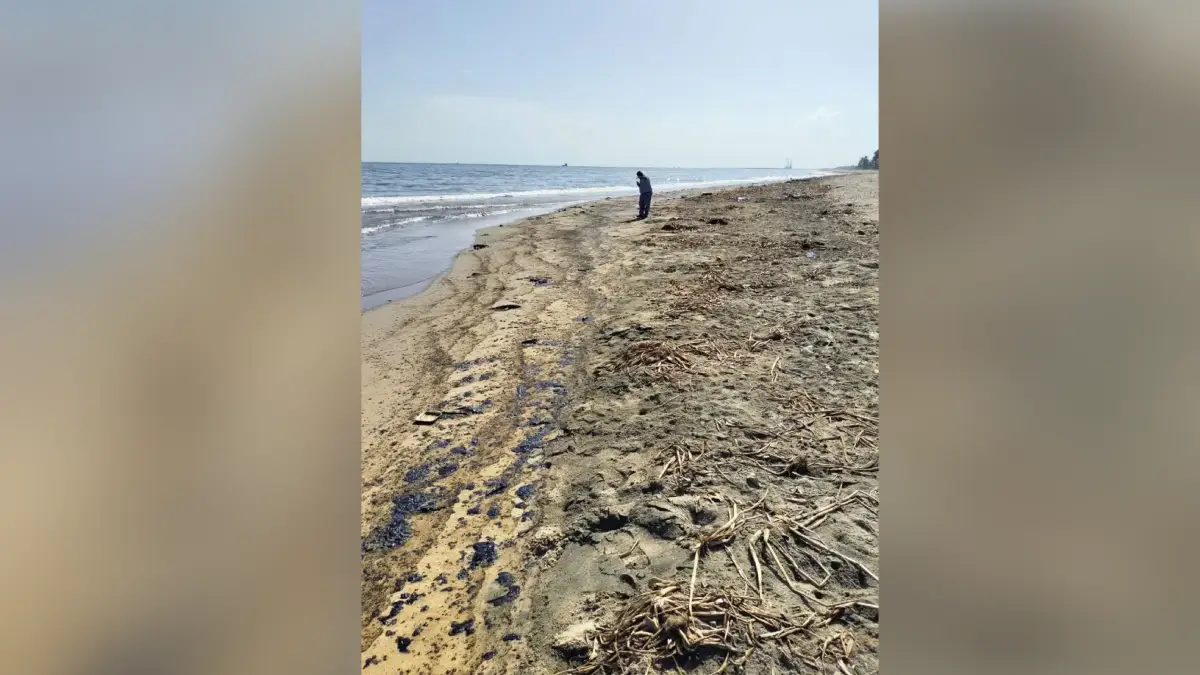 Derrame de hidrocarburos afecta costas de Paraíso en Tabasco