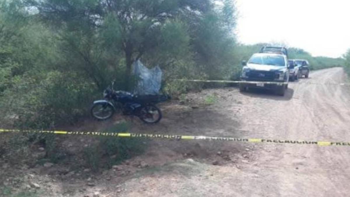Trágico accidente en Ranchito de Llanes, Sinaloa: muere motociclista tras salida de camino; se impactó contra un árbol