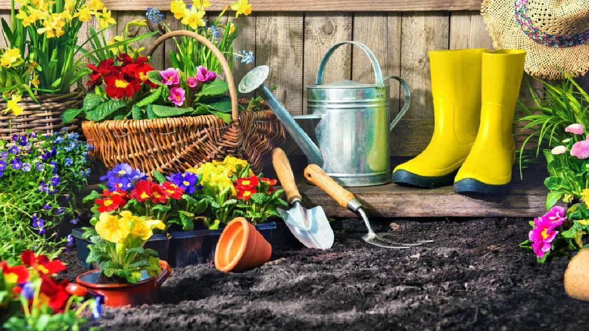 Tu primer jardín: Consejos y trucos para principiantes