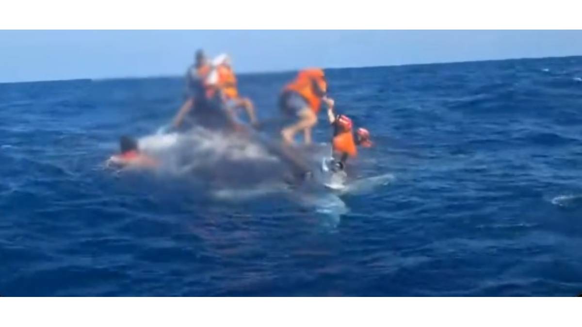 VIDEO ¡Héroes! Así rescató la Marina a tres personas que naufragaban en Acapulco