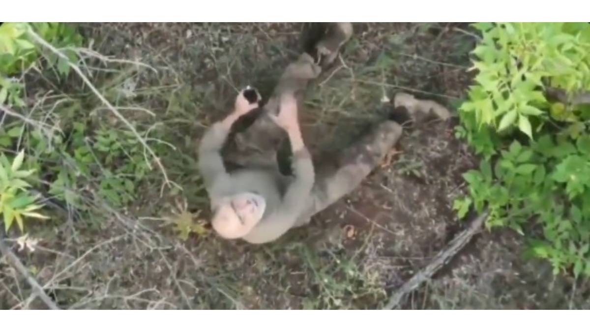 VIDEO: ¡Paz! Soldado ruso es ayudado por dron ucraniano tras verlo herido en el bosque