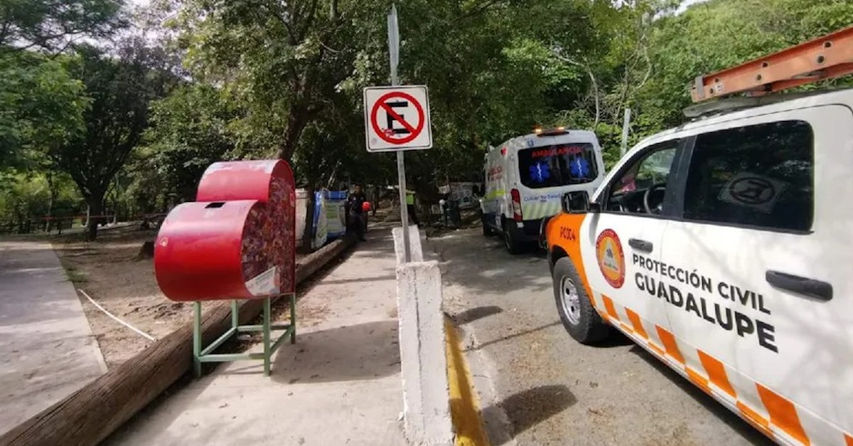 Fallece repentinamente abuelito tras dar un paseo con su nieto