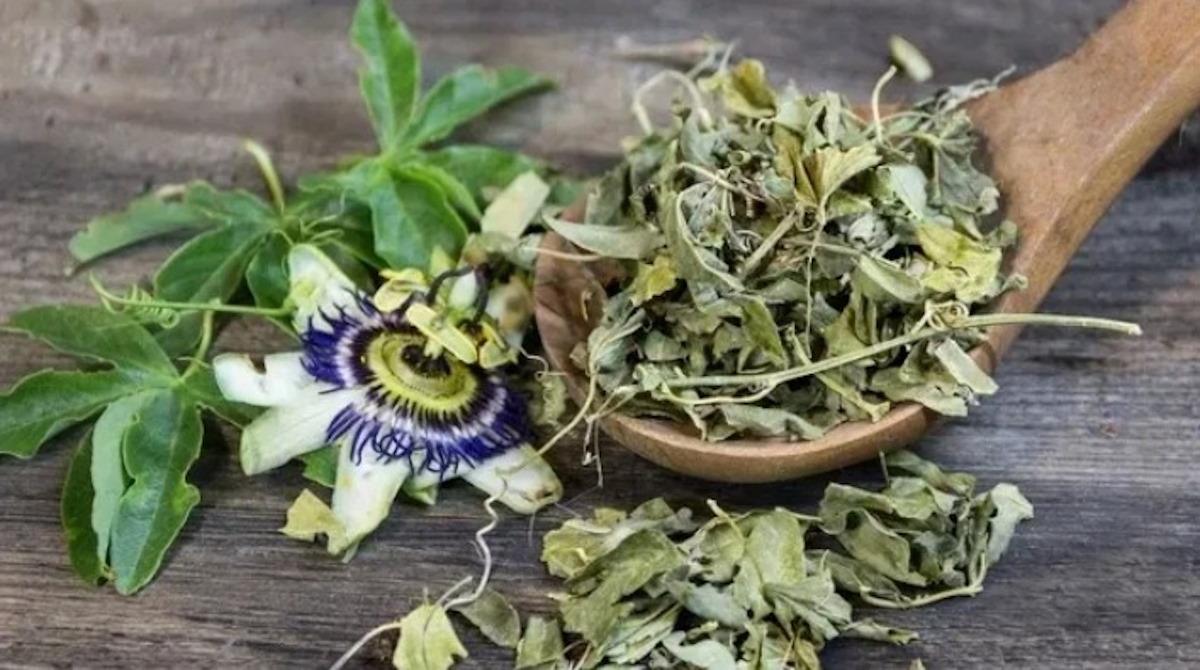 Pasiflora | Conoce sus propiedades y beneficios para la salud