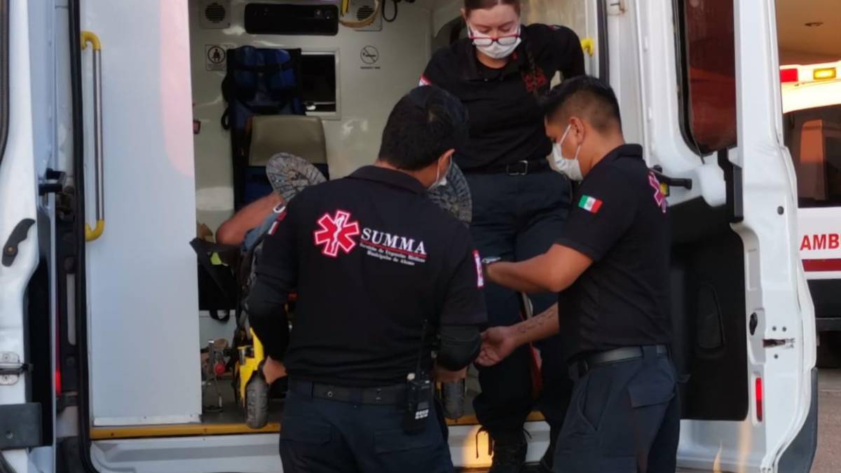 Adulto mayor ingresa a un hospital por ataque de abejas en Las Grullas Margen Izquierda, Ahome