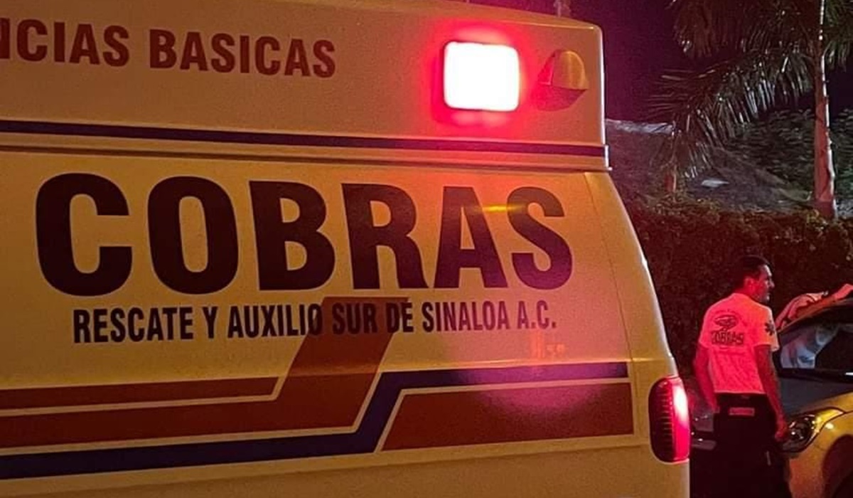 Ataque de abejas deja ocho lesionados en Pradera Dorada, en Mazatlán