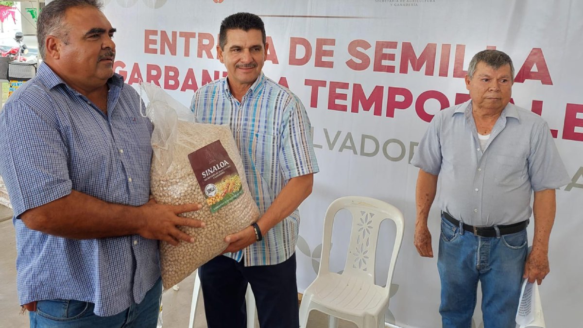 Entregan semilla a 211 productores de temporal, en Salvador Alvarado