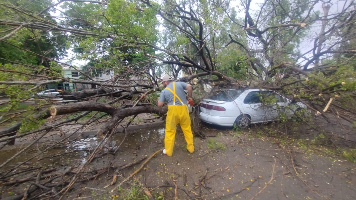 Tormenta ‘Ileana’ deja postes y árboles caídos en Ahome