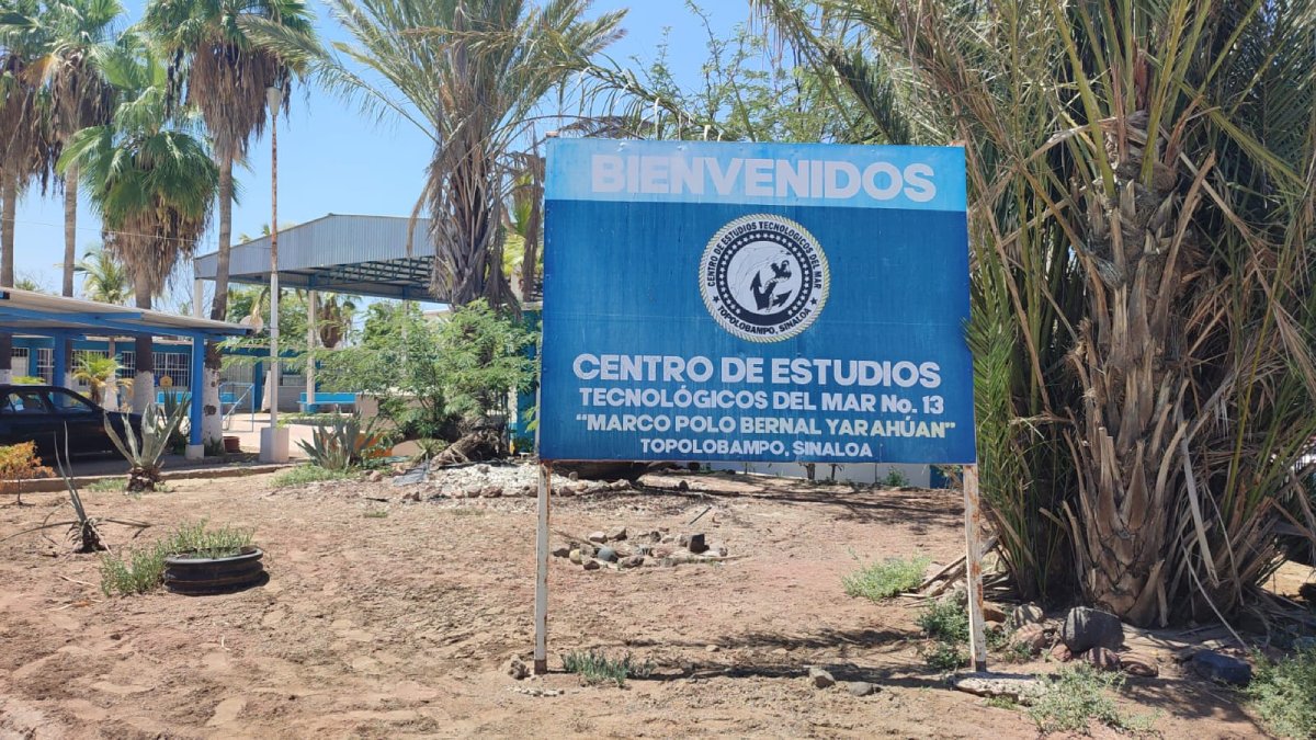 Cetmar de Topolobampo mantiene sus clases de manera presencial y sin contratiempos, pero también ausentismo