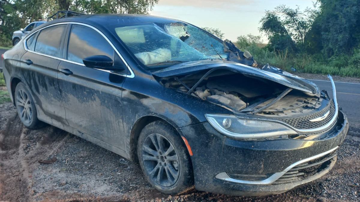 Automovilista se impacta contra un caballo en Guasave; logró salir ileso