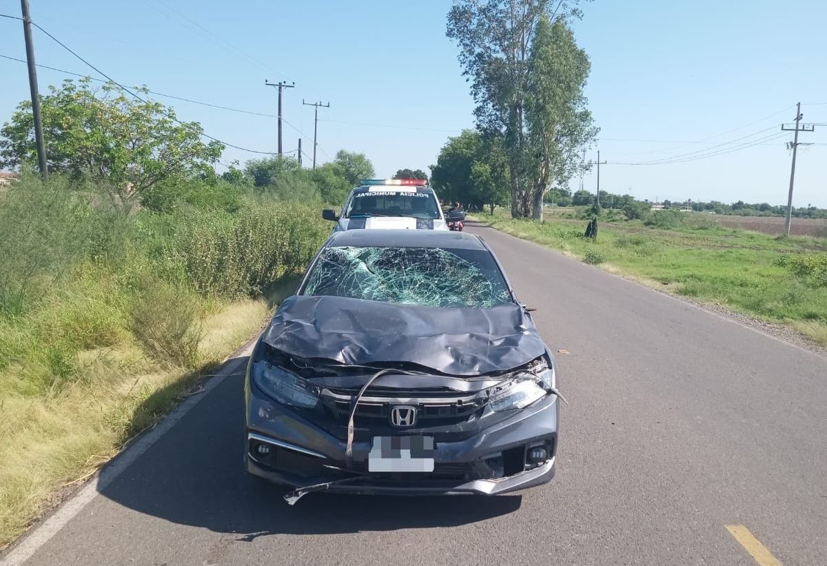 Fuertes daños materiales dejó el choque de un automóvil contra un caballo en Guasave
