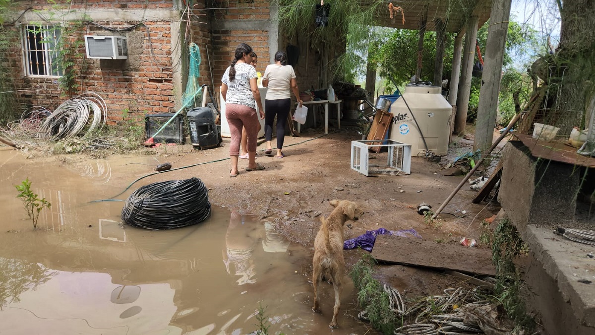 Realizan censo para evaluar daños por ‘Ileana’ en Guasave; las 12 sindicaturas tuvieron daños