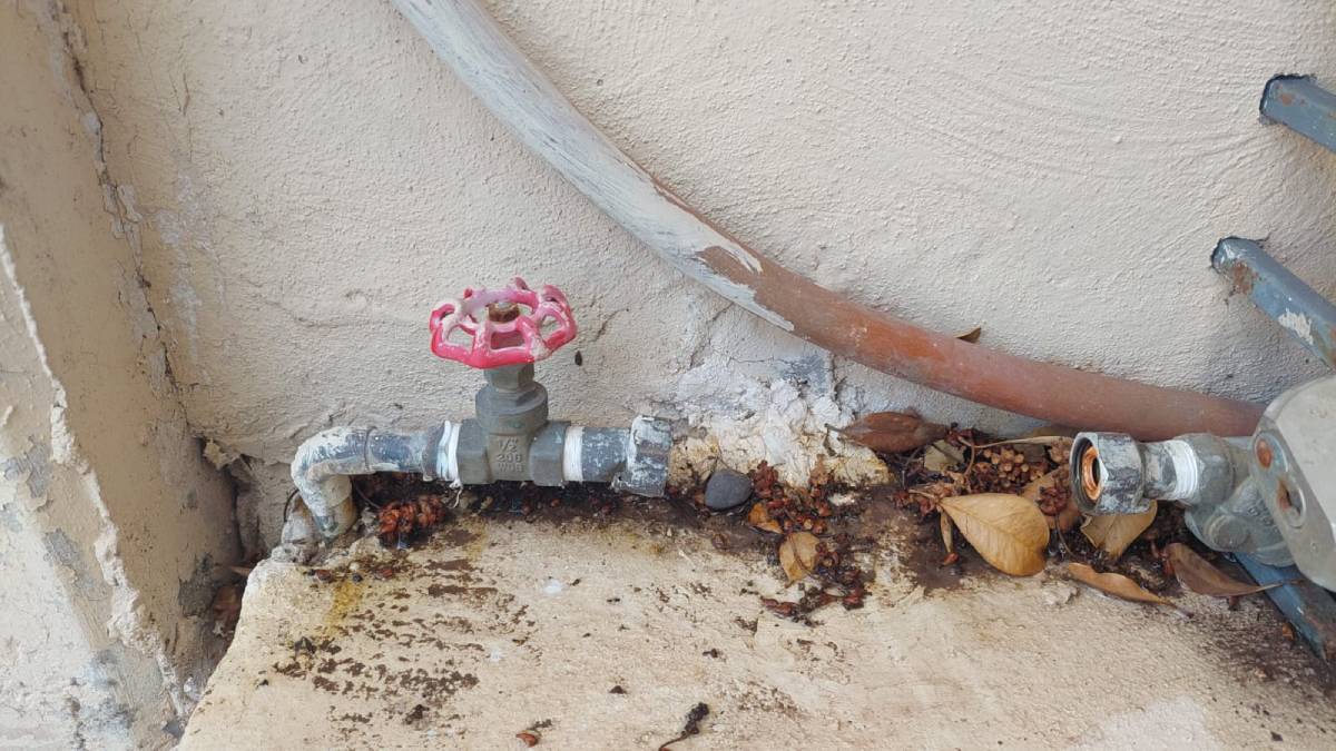 Defiende JAPAMA legalidad y garantía de medidores que vende, alerta a usuarios a no caer en fraudes