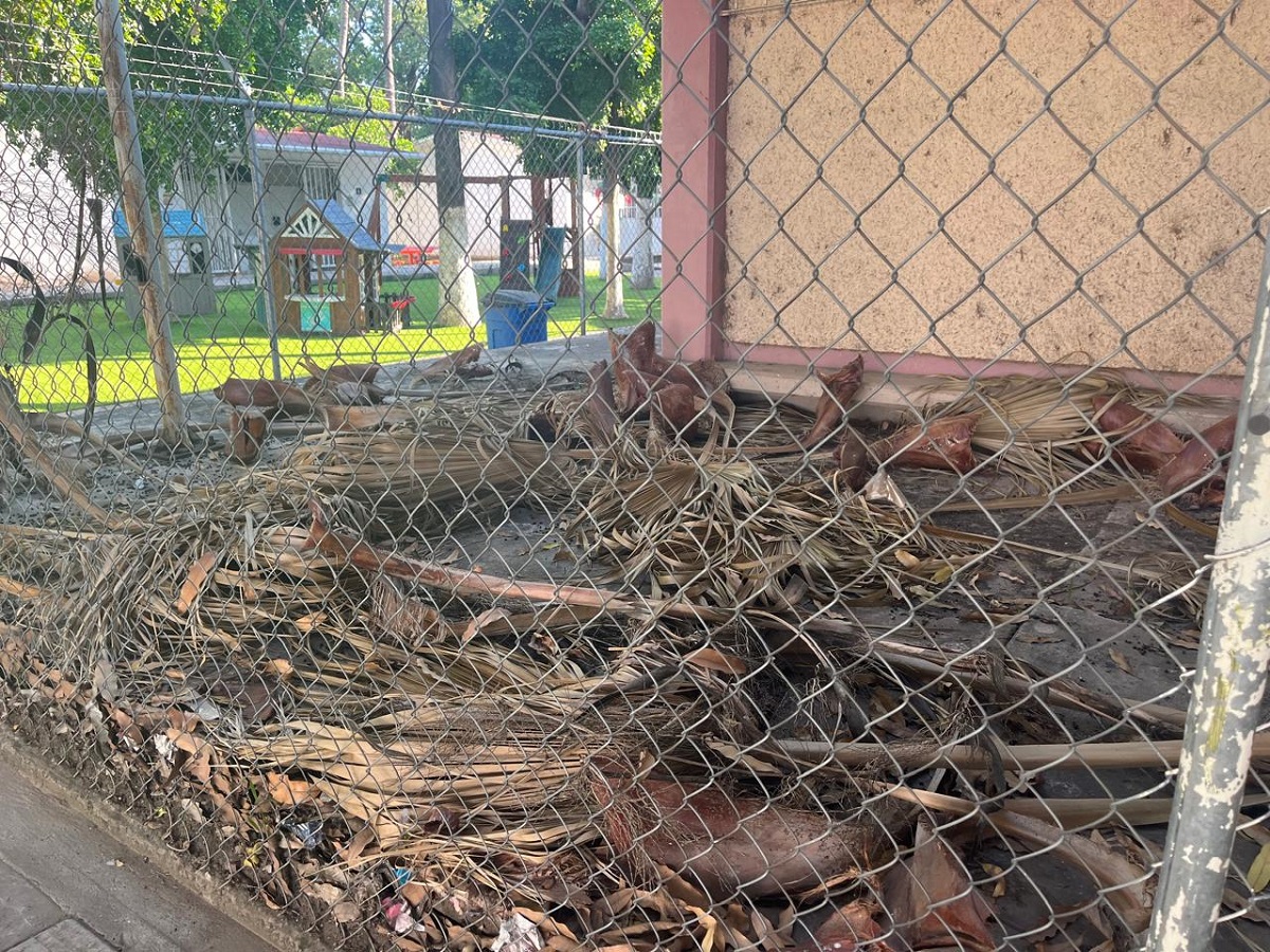 Reportan ausentismo en escuelas de El Tajito por dengue; servicios regionales dice que no tiene reporte