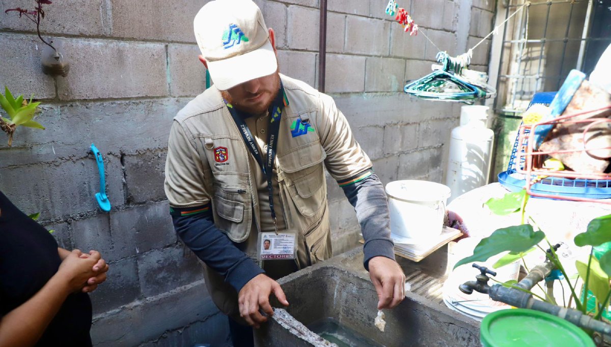 SSA ha detectado más de un millón de criaderos de larva del mosquito transmisor de dengue en Sinaloa