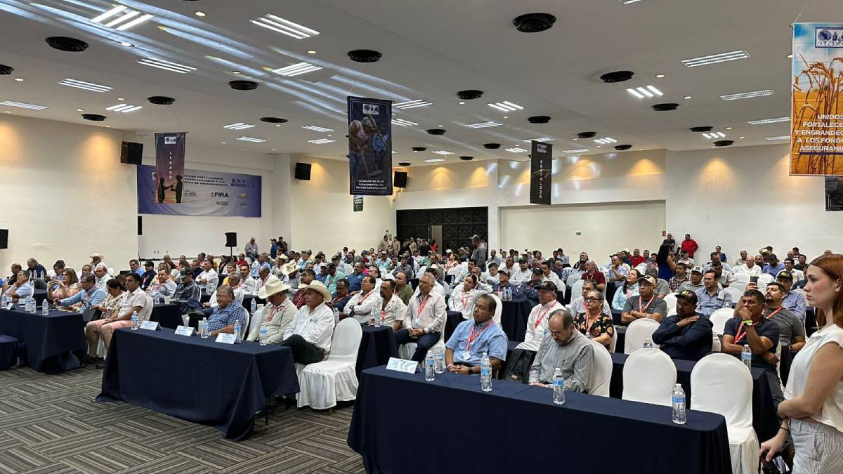 Es Sinaloa líder nacional agrícola, en Mazatlán se realiza la reunión de Fondos de Aseguramiento del campo mexicano