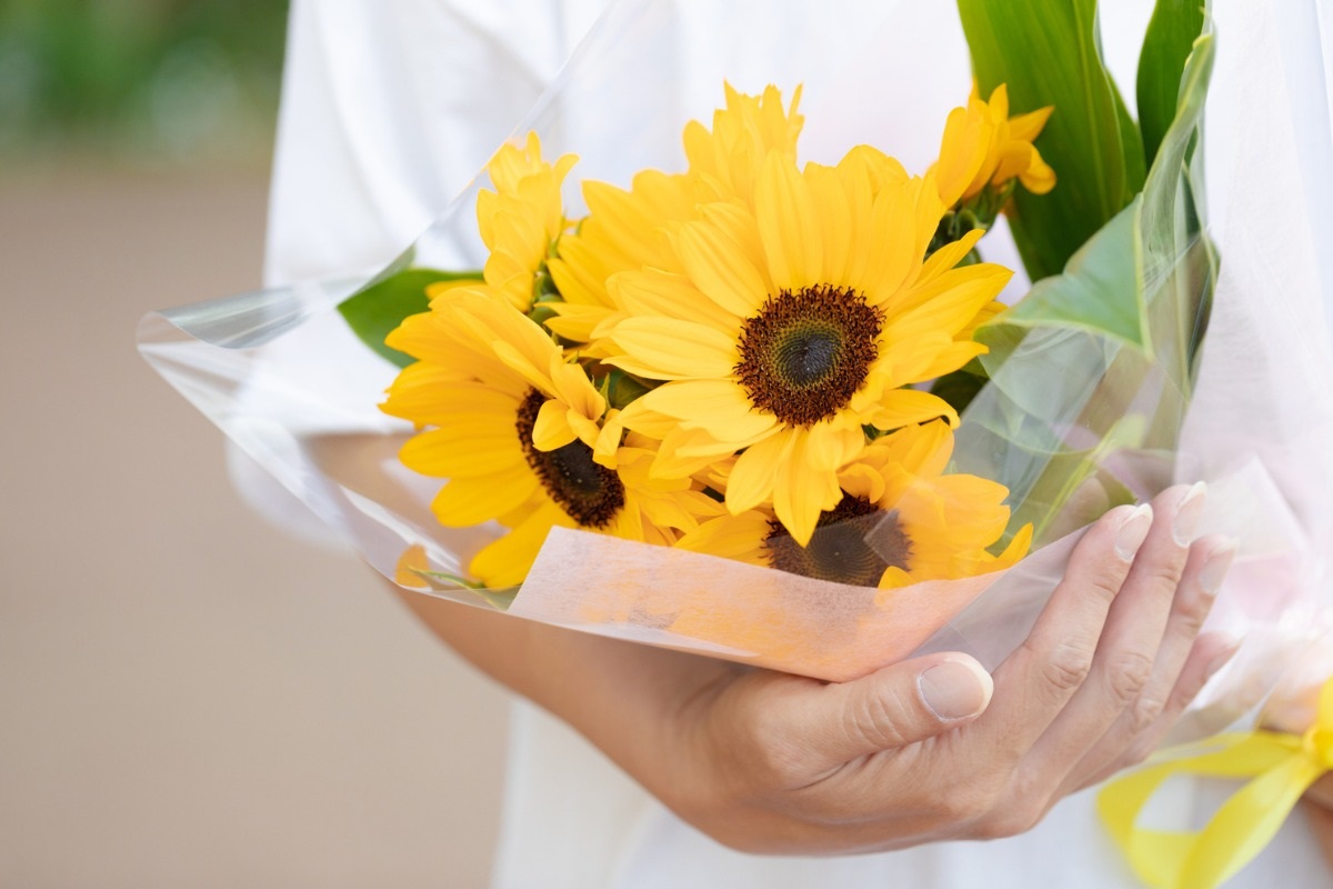 ¿Por qué se regalan flores amarillas el 21 de septiembre?