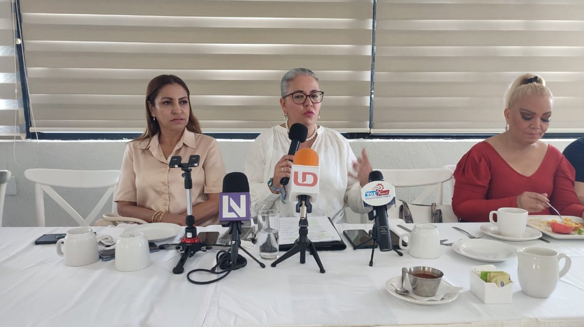 Buscará Graciela Domínguez integrar tres comisiones en la LXVI Legislatura Federal