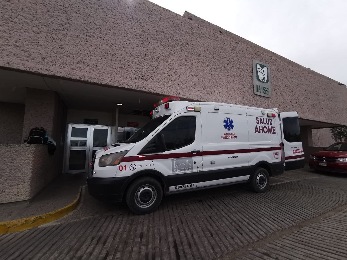 Adulto mayor ingresa a un hospital de Los Mochis por picaduras de abejas