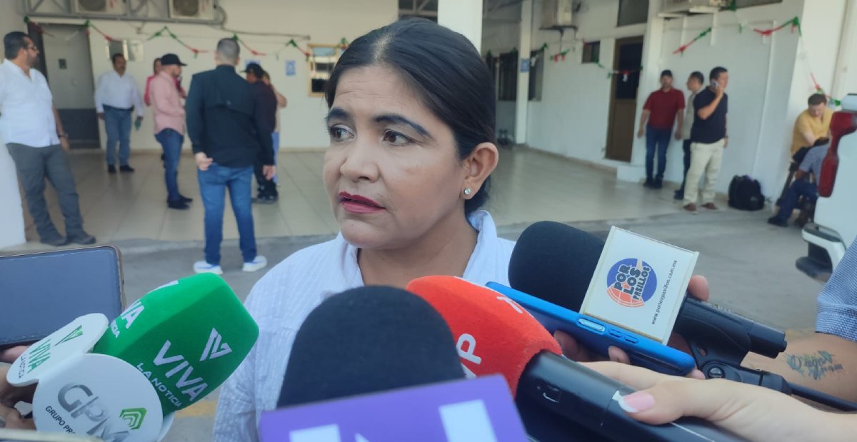 Atacan abejas a niño de 2 años y una mujer en Compuertas, Ahome; claman ayuda