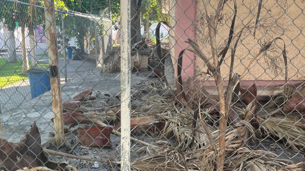 Las escuelas de Guasave se están volviendo a fumigar tras “Ileana”: Alcalde