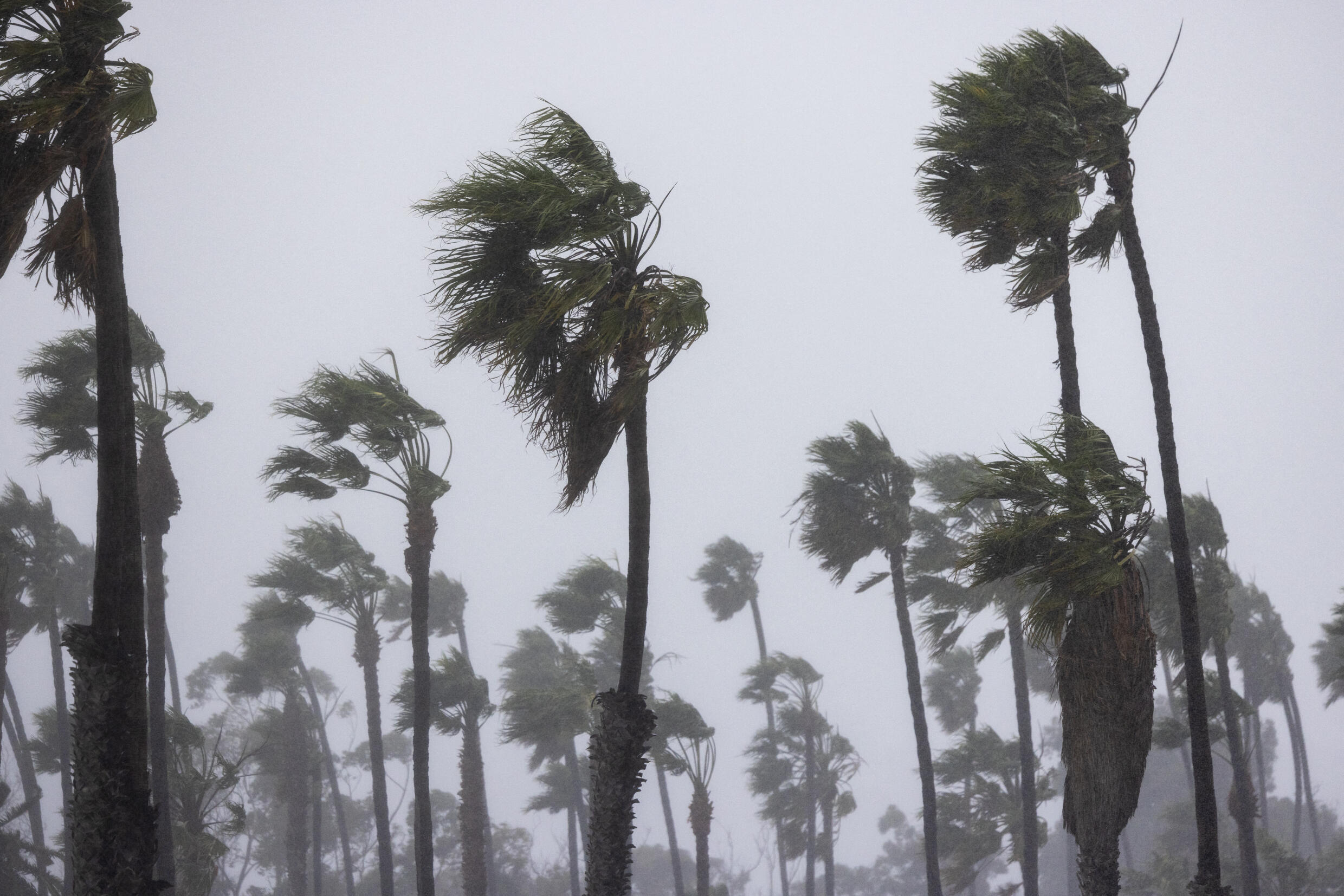 ¡Va en serio! Lluvias en Sinaloa a lo largo de la semana rondarán entre los 50 y 150 milímetros
