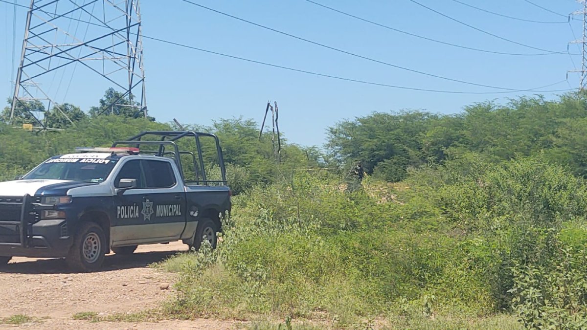 En estado de descomposición localizan a una persona en la colonia San Fermín de Culiacán