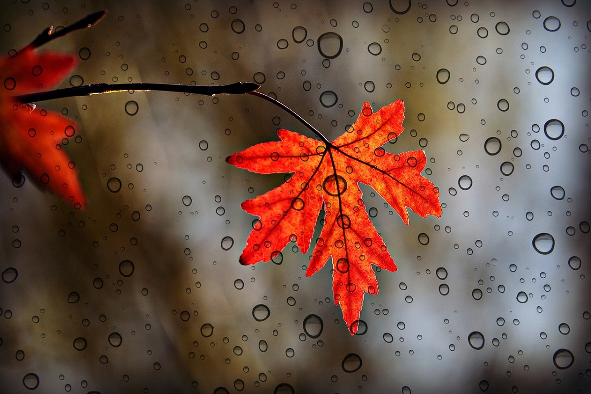 Hoy inicia el otoño e ingresa un nuevo frente frío que causará lluvias en el norte de México, así como posible caída de granizo