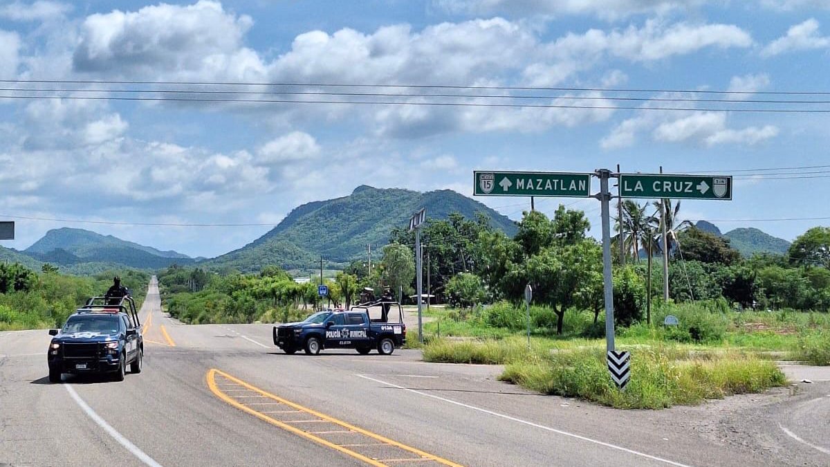 ¡Otra vez! Sujetos armados roban 40 pollos en granja avícola de Elota