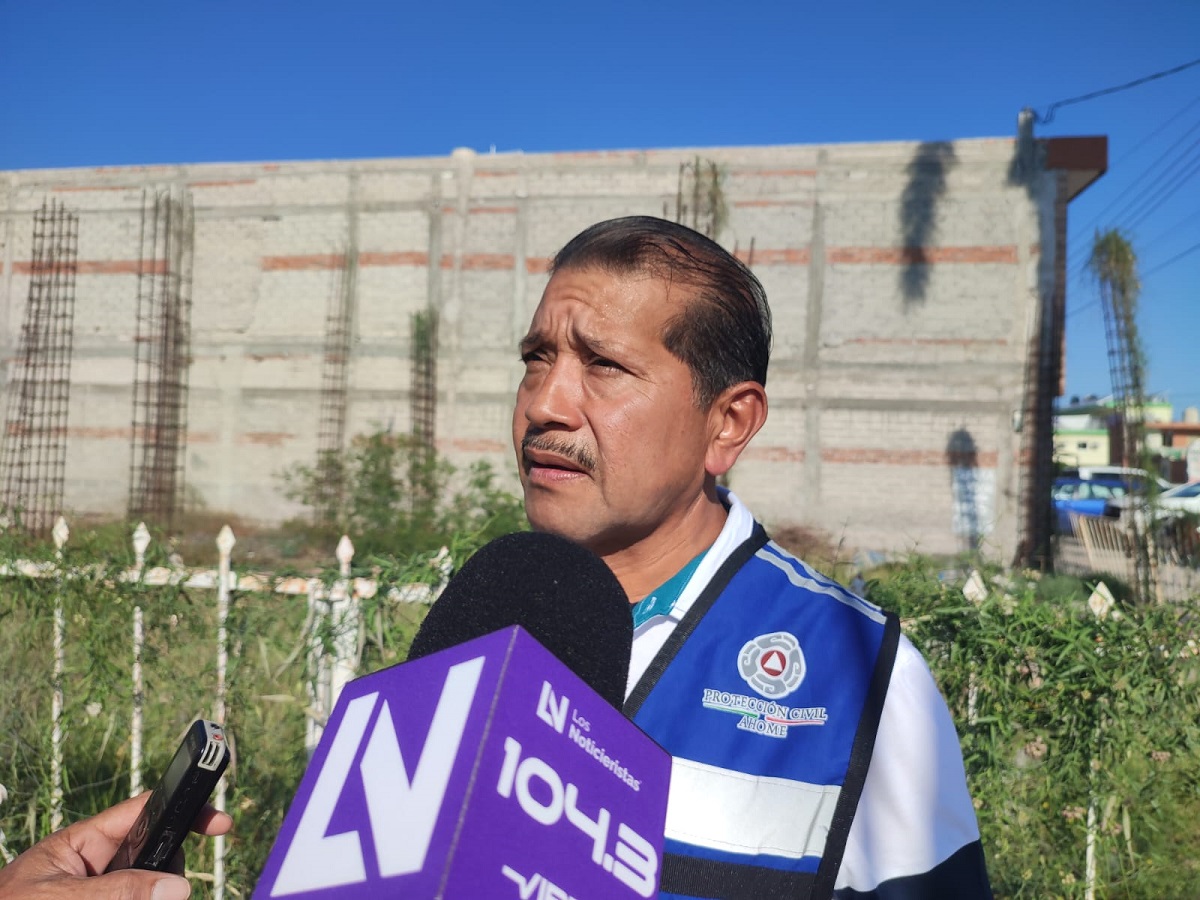 PC Ahome recibe 10 llamados de auxilio al día para retirar enjambres de abejas y todos se atienden