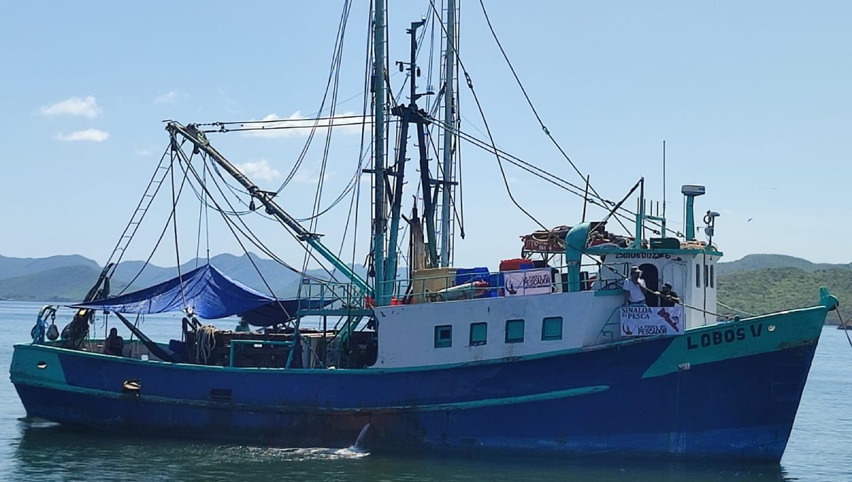 Pescadores de altamar en Ahome esperan con desánimo temporada de captura de camarón