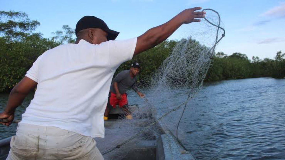 Pesca organizada está en condiciones de respetar la veda, no se deben violentar las áreas:  ribereños de Ahome