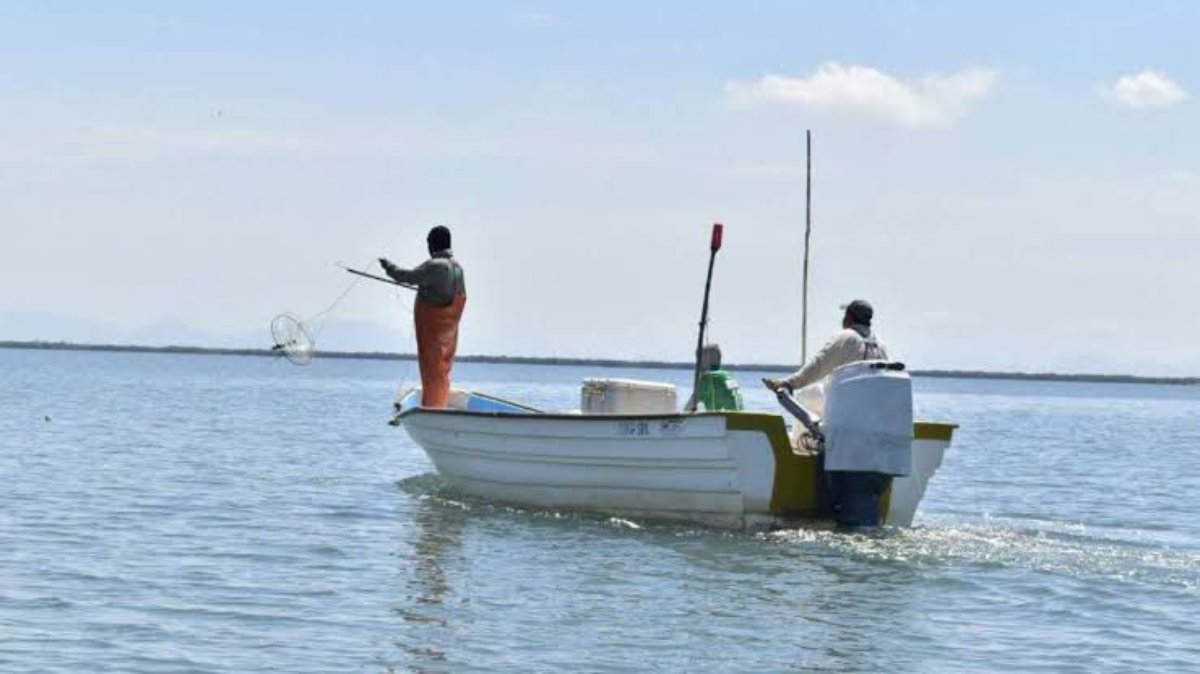 Pescadores de Sinaloa reclaman atención del Gobierno Federal y sensibilidad de los diputados