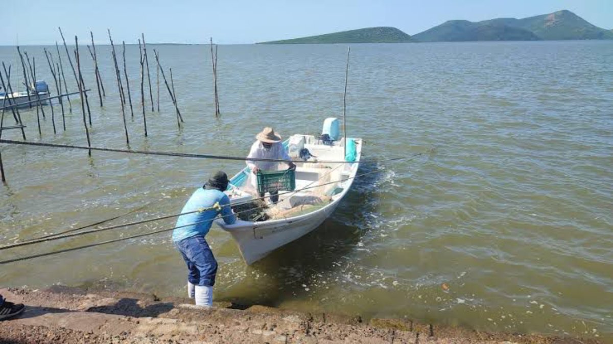 En crisis actividad pesquera en Topolobampo, Sinaloa; vedas y vientos obligan a los hombres del mar a parar labores