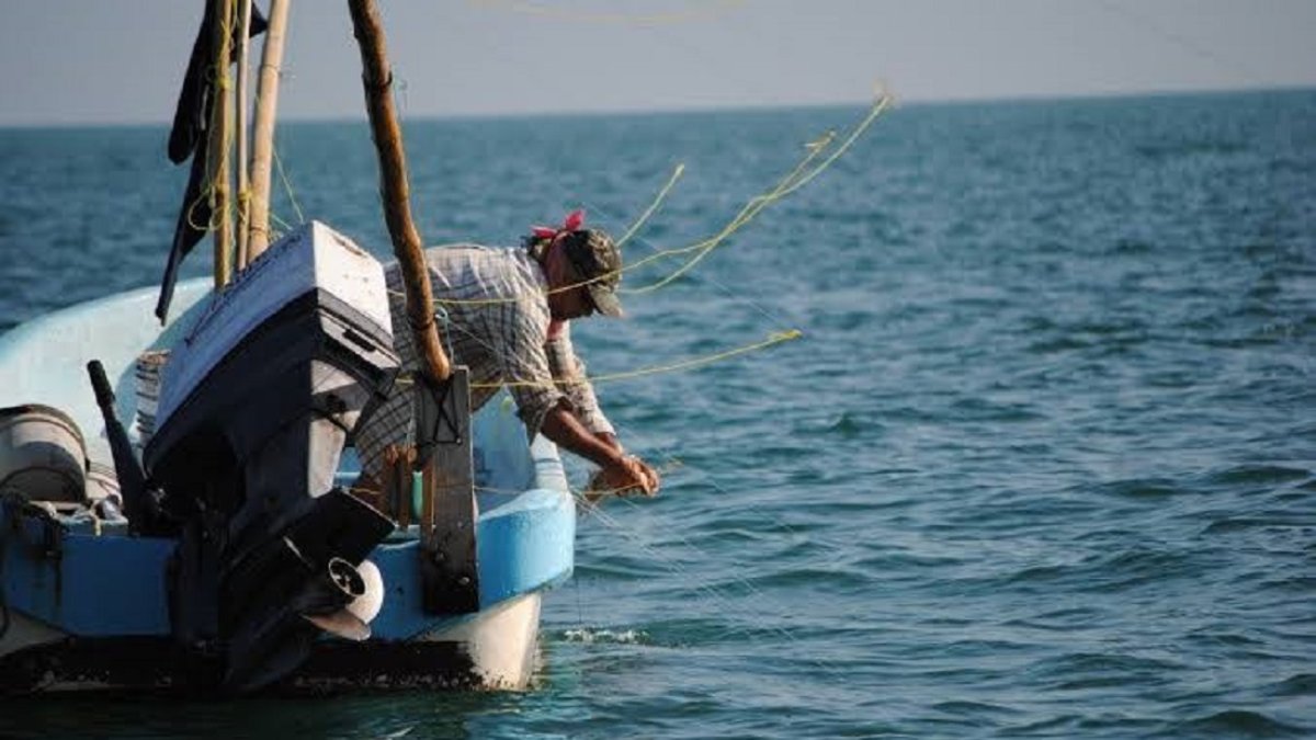 ¡Ya hay fecha! Iniciaran Pescadores ribereños capturas de camarón en Sinaloa