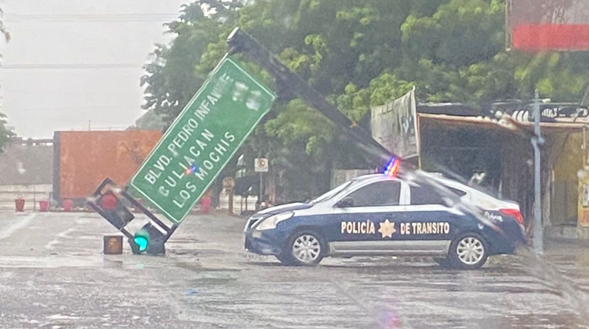 Efectos de Ileana derrumba semáforo y árboles en distintas partes de Guasave