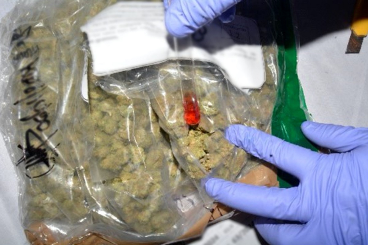 Casi 30 toneladas y más de 90 mil litros de sustancias para elaborar droga destruyó la FGR