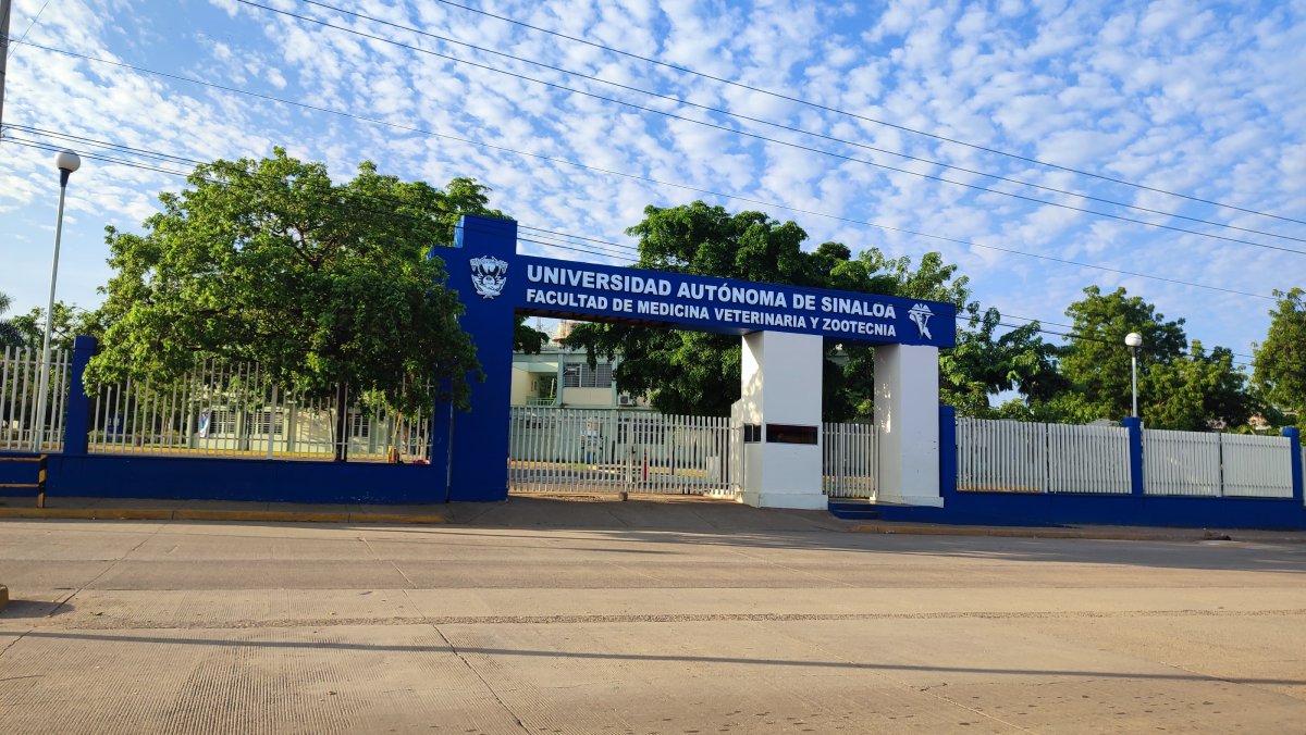 La UAS mantiene clases en línea este viernes, por violencia; consulta los municipios