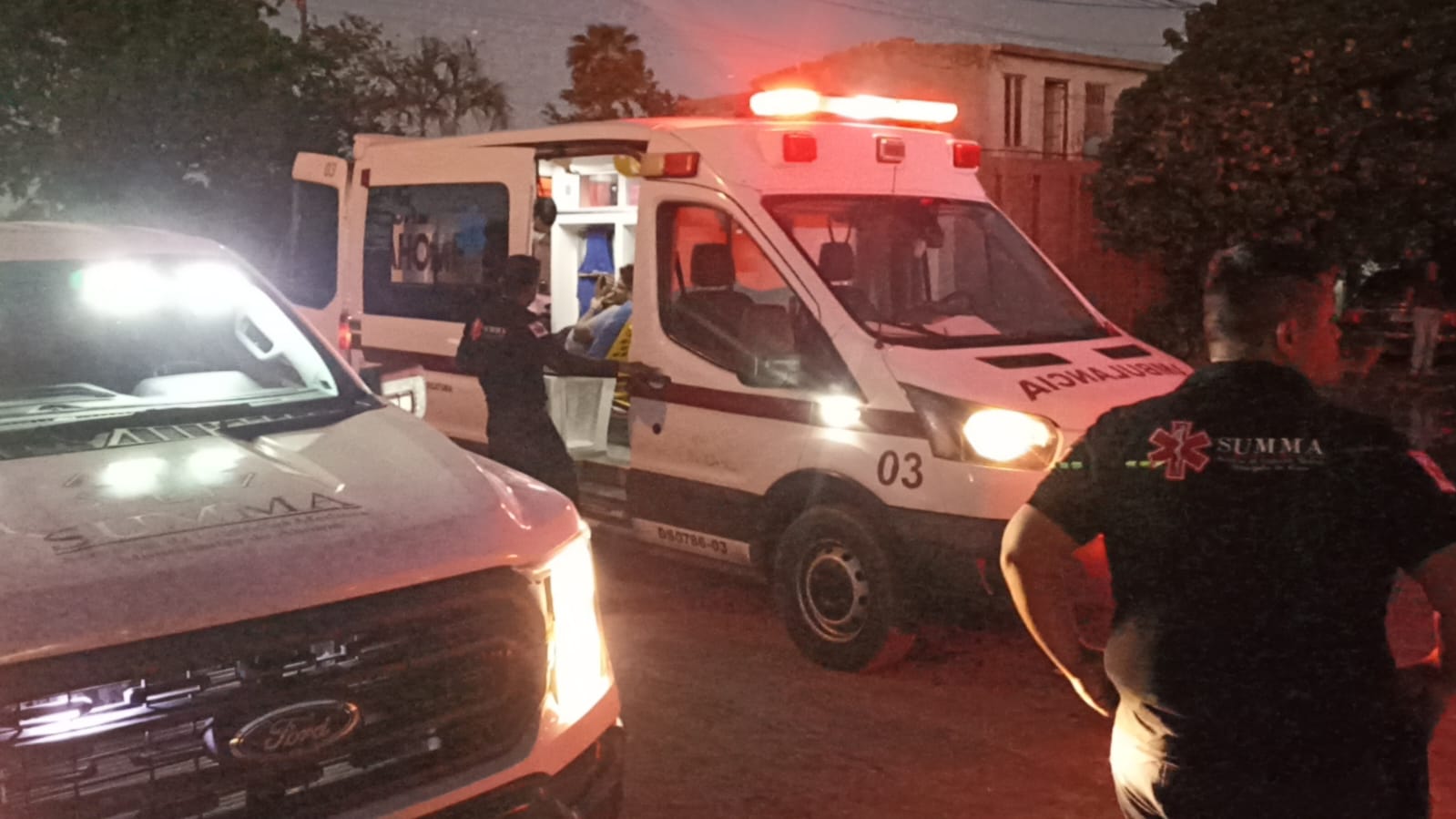 Ataque de abejas deja tres personas lesionadas en colonia de Los Mochis