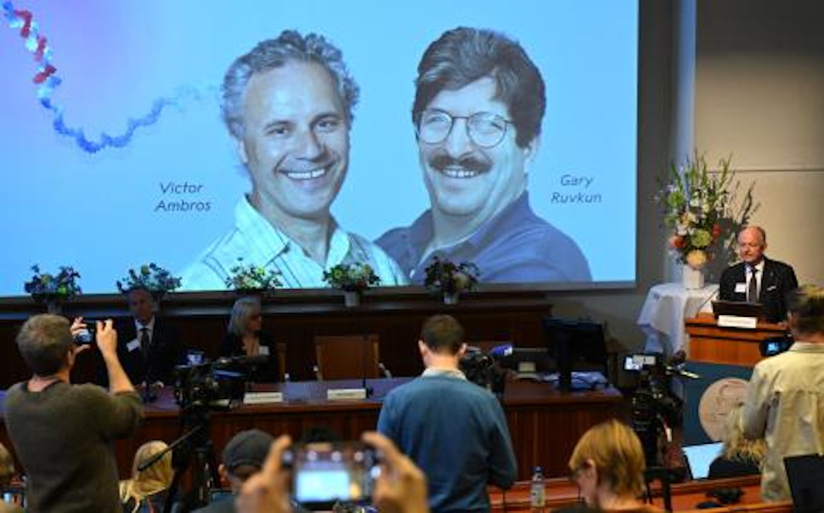 Premio Nobel de Medicina 2024 es para Victor Ambros y Gary Ruvkun por el micro-ARN