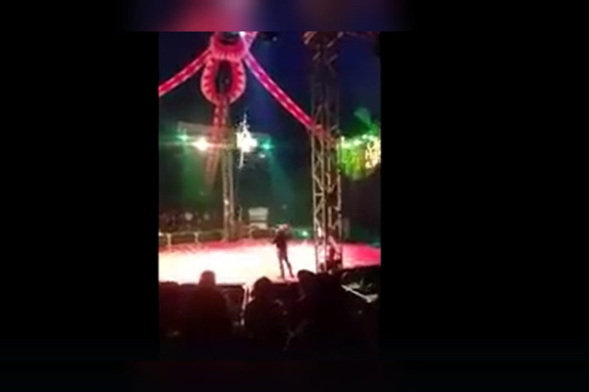 Video | Accidente en el Circo del Horror de Cuernavaca: Payaso cae del trapecio