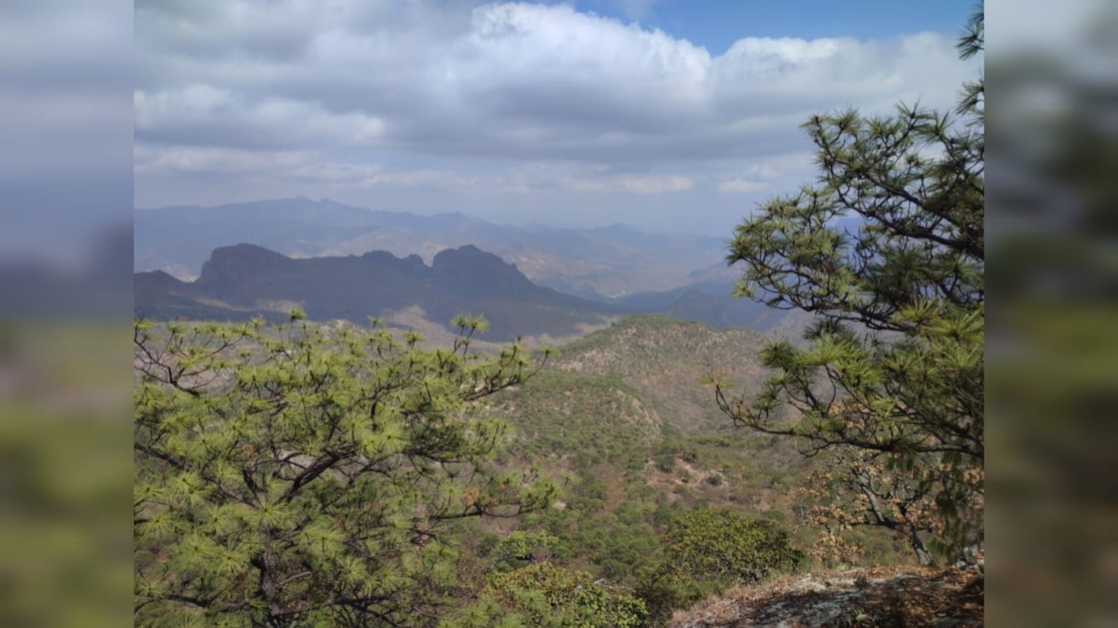 ¡Adios frío! Se retiran las heladas de la sierra de Sinaloa; en el valle el termómetro marcará de 35 a 40 grados