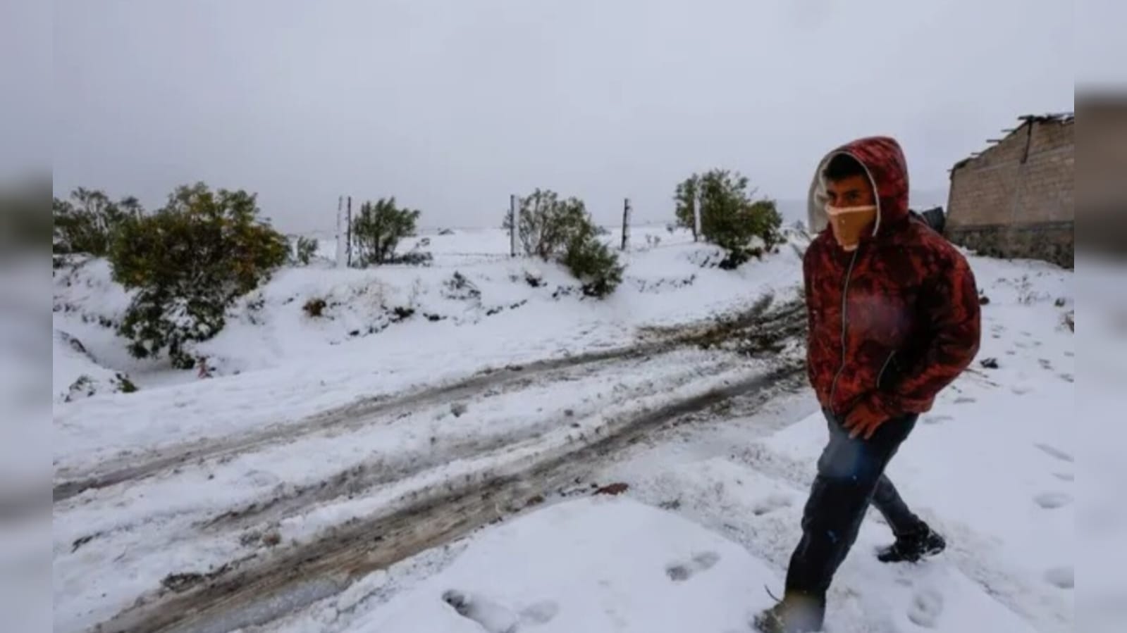 ¿Nevadas en México? Pronostican un invierno ligeramente más frío de lo normal este 2024-2025