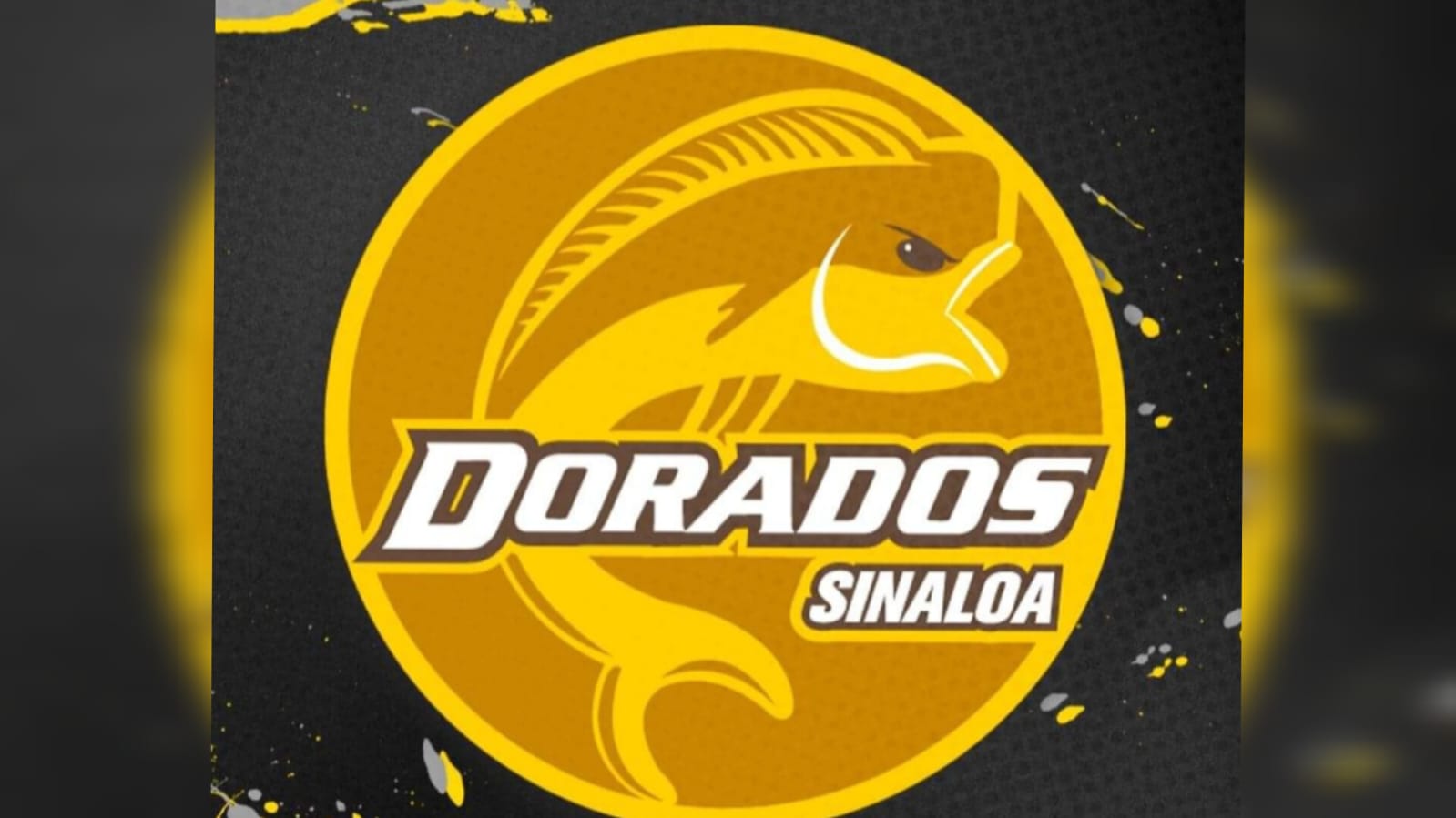 Los Dorados de Sinaloa ya no jugarán en Culiacán en el actual torneo de la Liga de Expansión MX